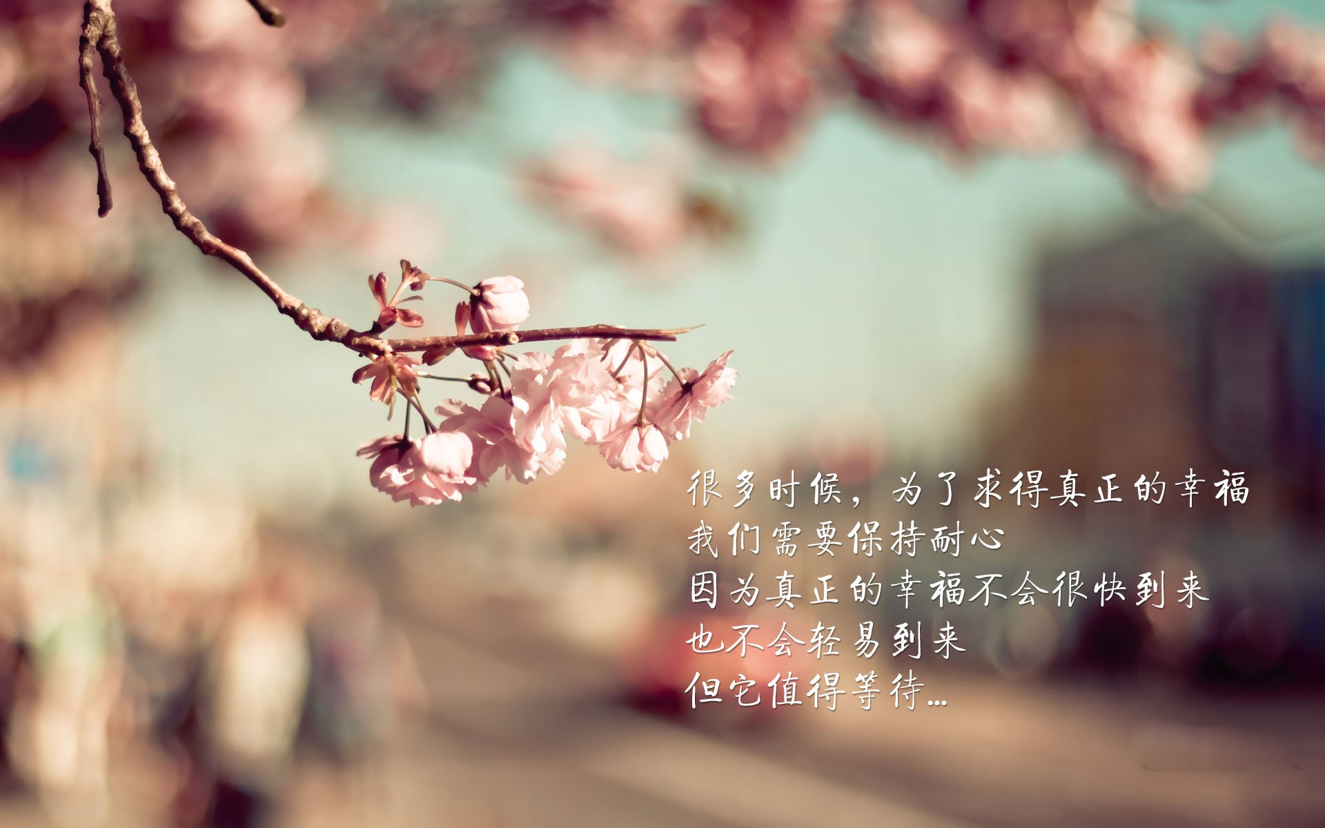 高职院校体育人才培养目标与产业需求匹配分析，我国体育人才的培养模式