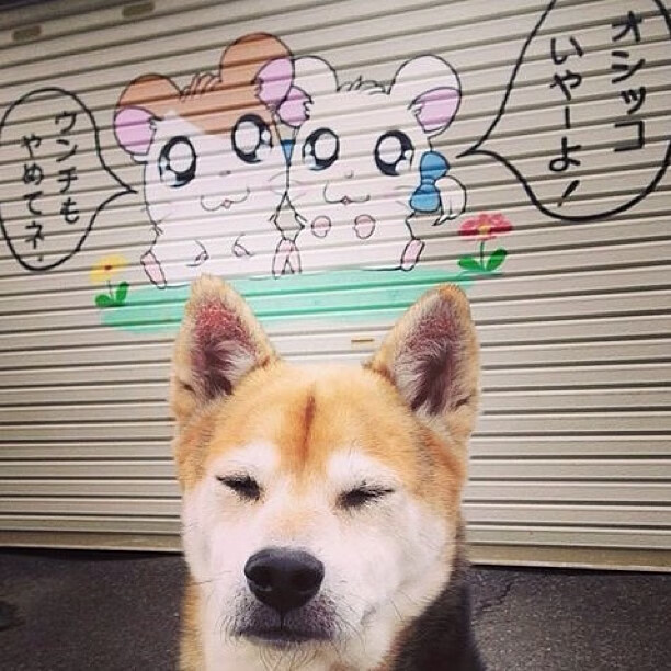 开云体育app入口-多特蒙德反击节奏打得风生水起，多特蒙德防守反击