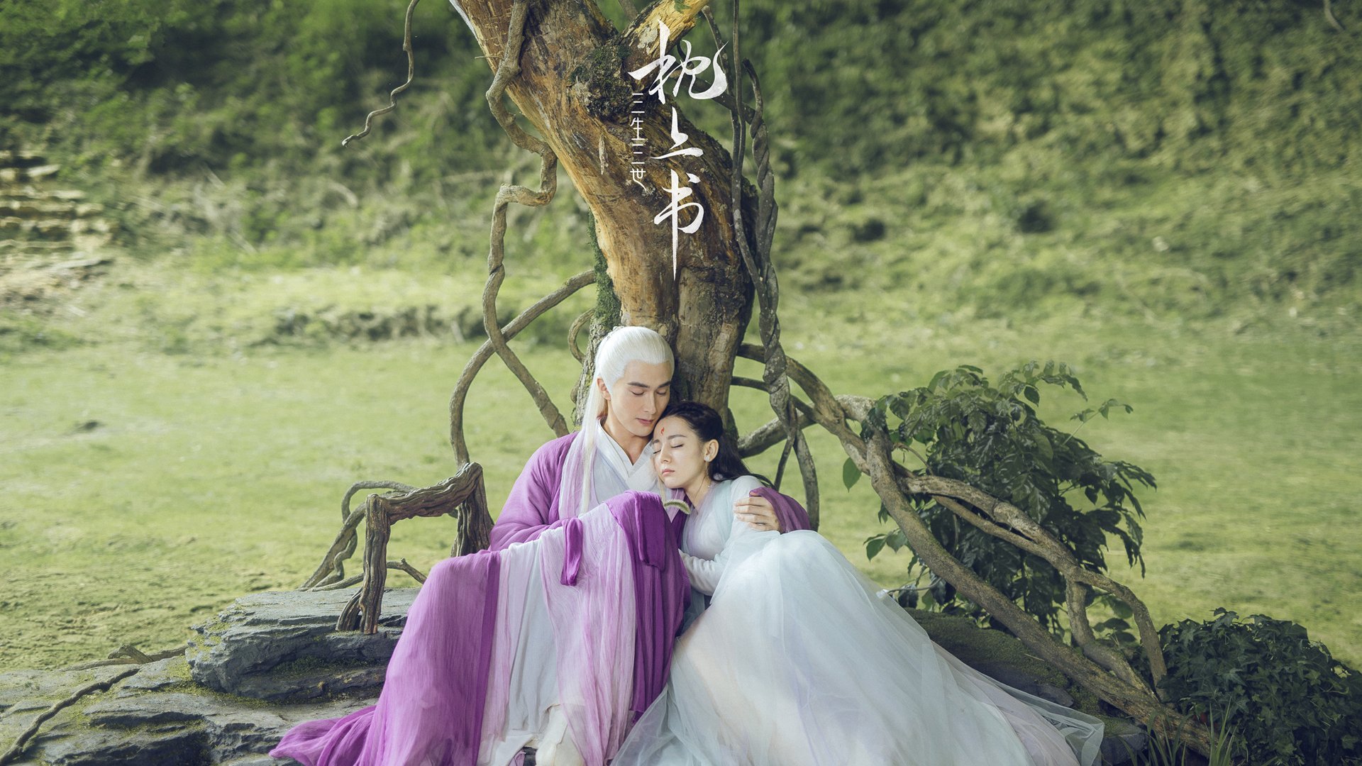 德国队出战国际乒联混合团体世界杯：赛制的影响与机遇，德国乒乓球职业联赛