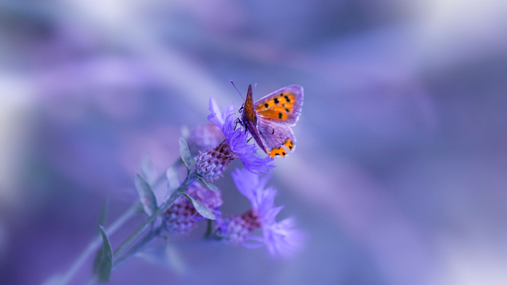 新的乒乓球赛事规则改革技术引领趋势，乒乓球比赛新规则2019