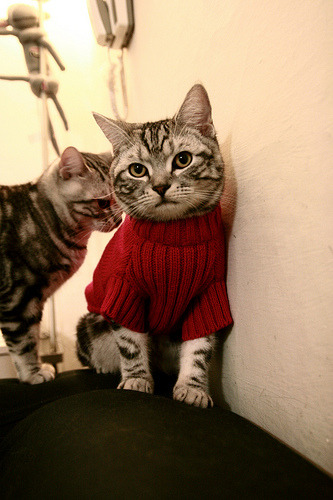 青少年乒乓球集训营模拟比赛提升心理素质，青少年乒乓球训练营