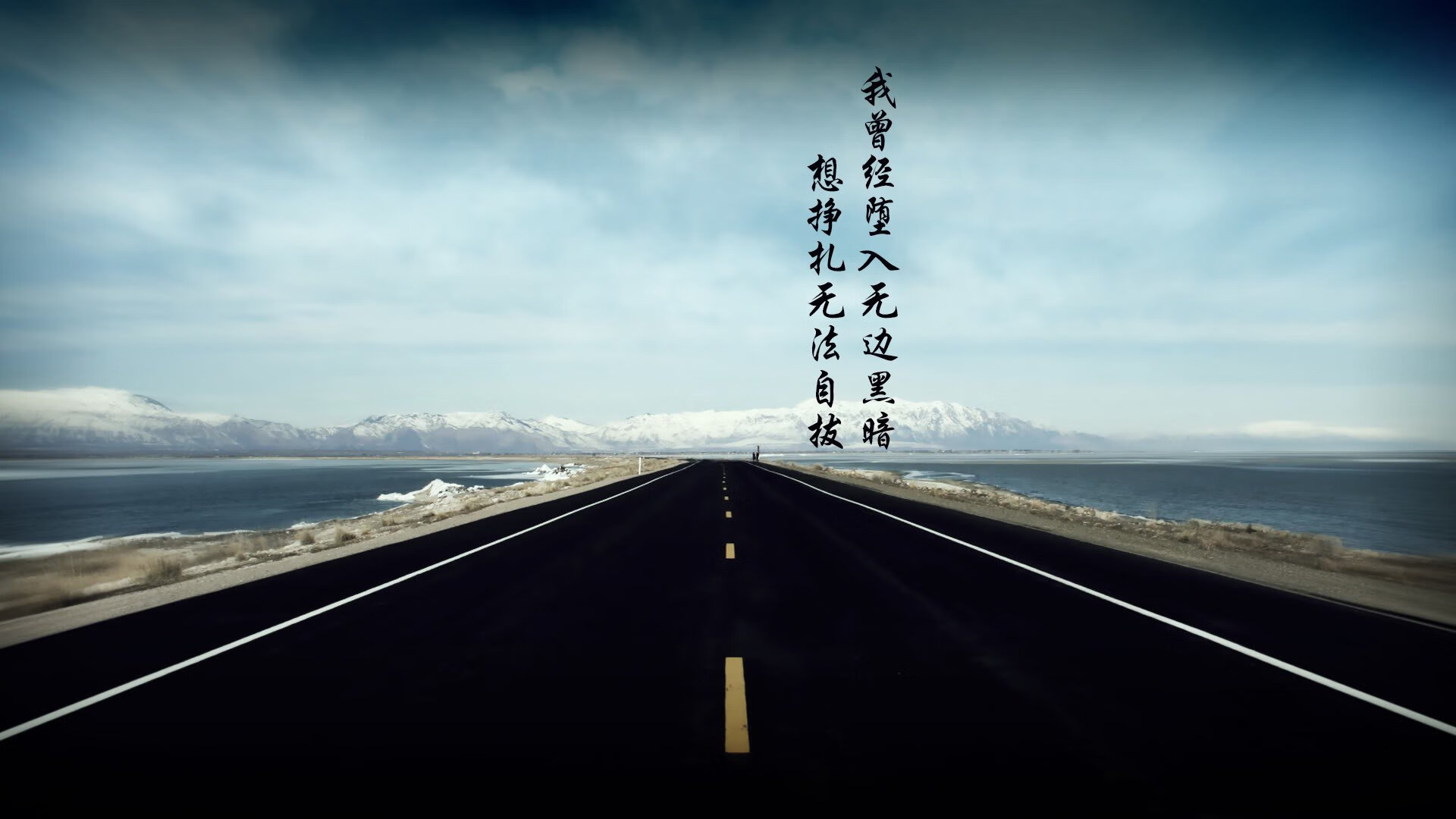 开云体育app-“南非羚羊队的得分利器：诺克·达维德·彼得森”