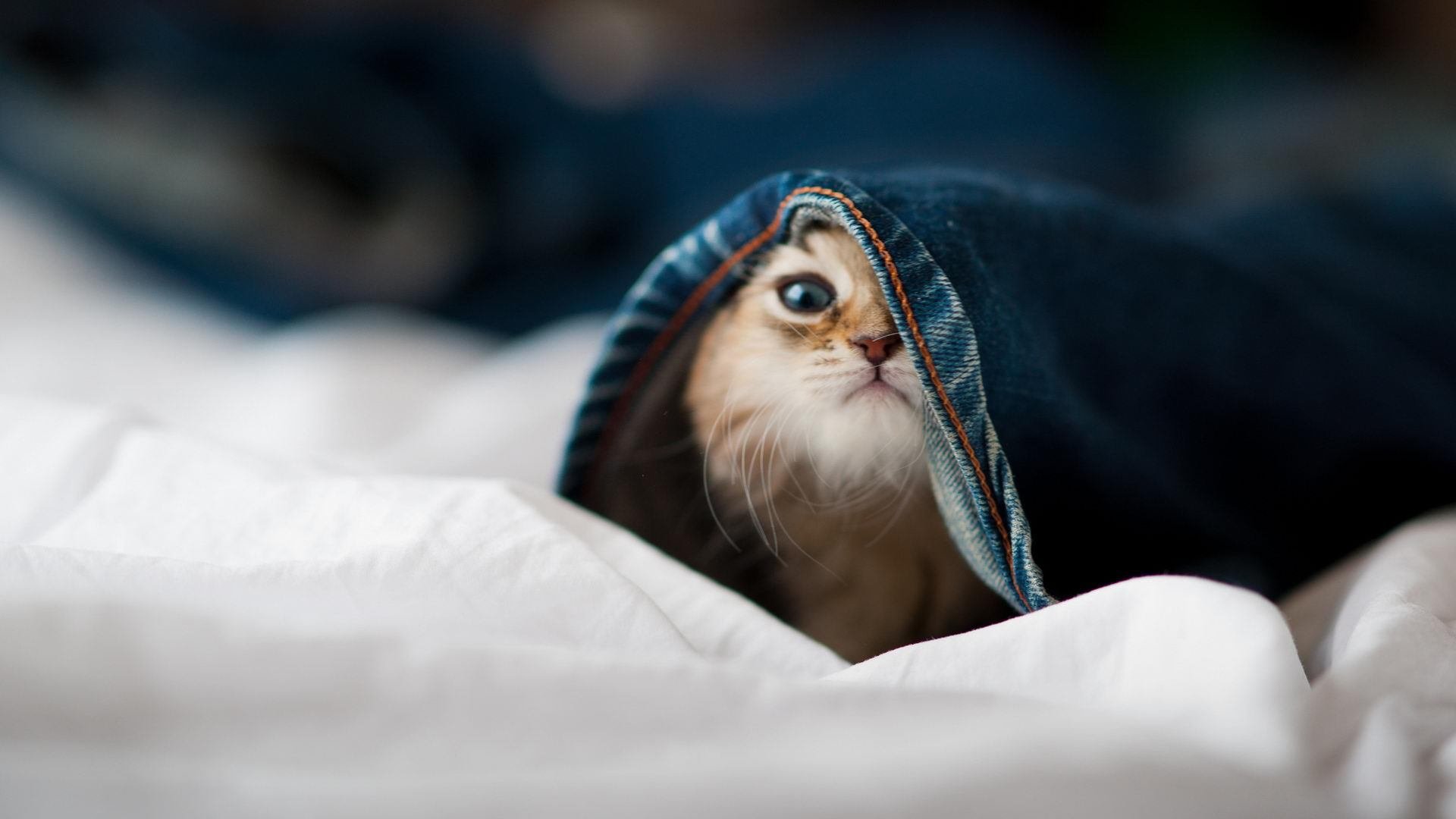 中甲球队采用无人机记录训练提升复盘角度多样性，2020无人机国家队选拔赛