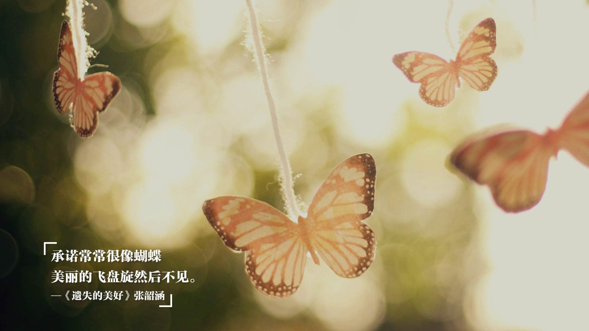 李娜直播中解答球迷关于职业规划问题，李娜为自己打球