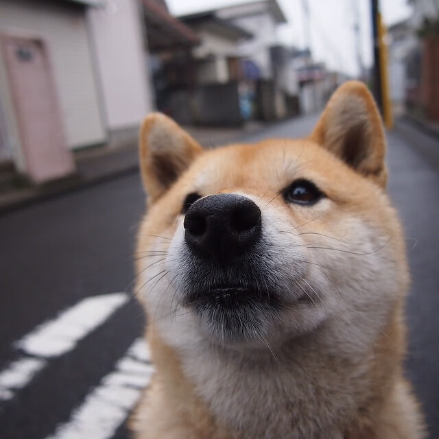开云官方网-欧洲杯决赛瞬间：战术排名的终极比拼，欧洲杯赛程2021决赛队伍