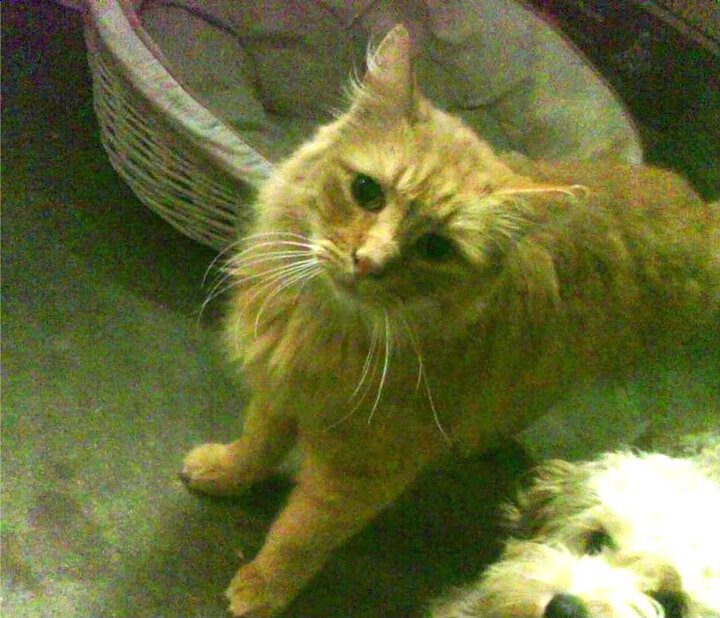 开yun官网-球员社媒粉丝破百万，个人影响力吸引赞助商，球员赞助版是什么意思