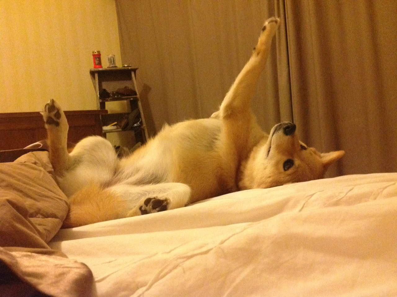 开云体育官网app-蛙泳冲刺希腊选手稳居前列，顶级蛙泳技术