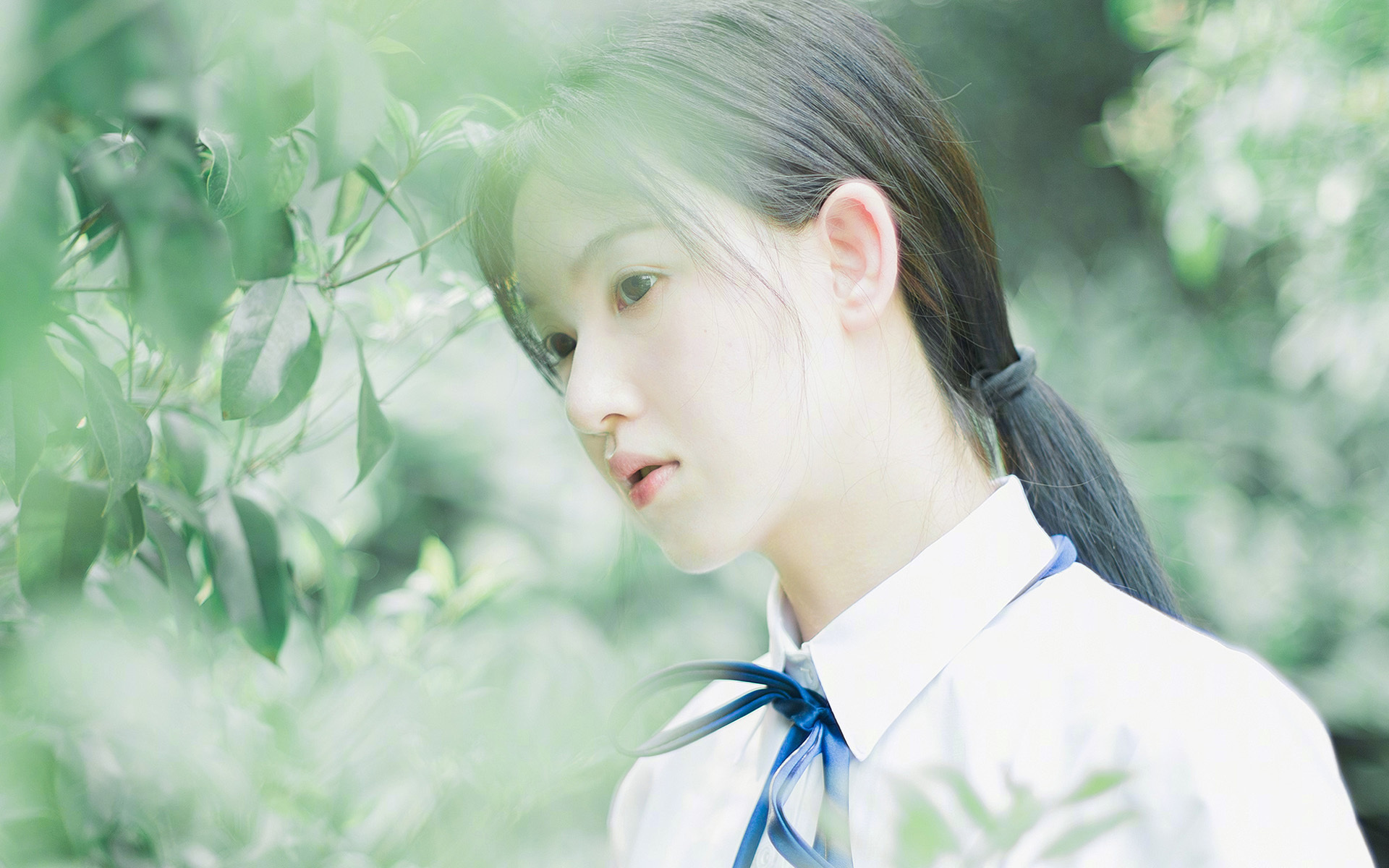 非洲女篮锦标赛中，安哥拉再次夺冠，体育影响力持续扩大，非洲女篮国家队排名