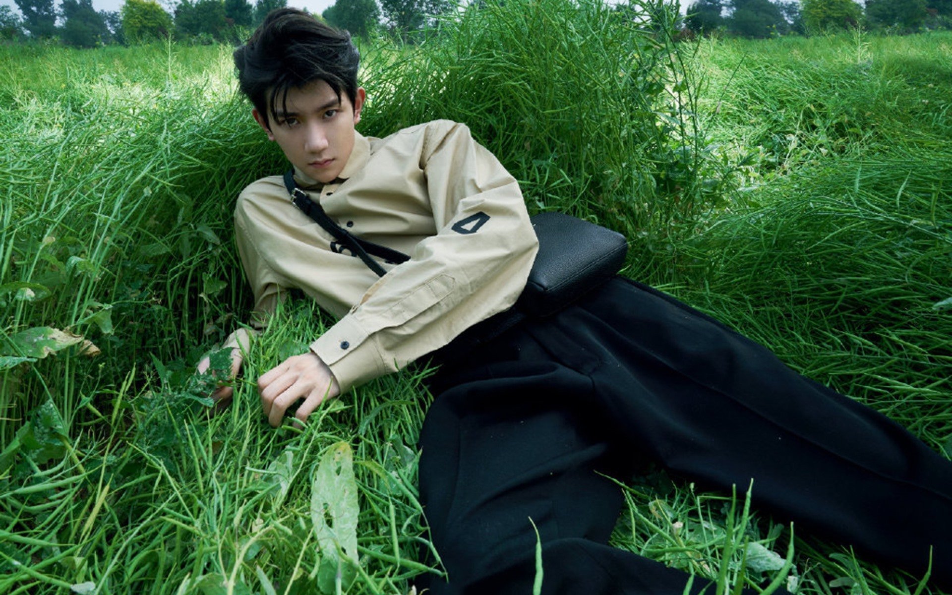 开云体育官网下载-AI爆发，创业板嗨涨，宁德时代“王者归位”